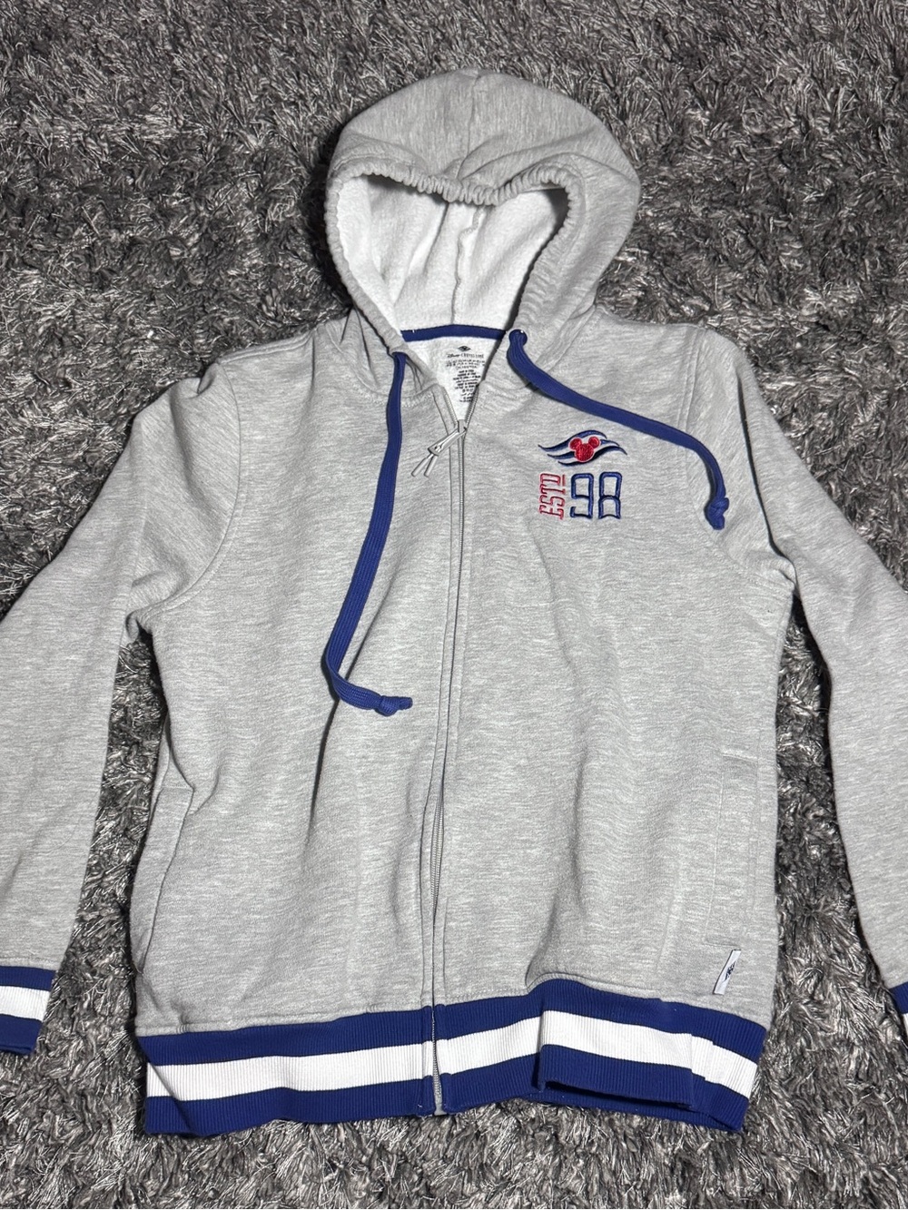 Disney Cruise Line ESTD 98 Zip Up Hoodie Gray Blue White Stripe M